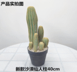 עמוד קקטוס מדברי 40 ס"מ