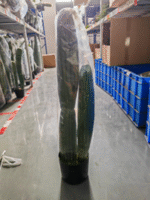 עמוד קקטוס זוגי פסים 105 ס"מ