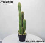 עמוד קקטוס מדברי - 60cm