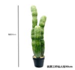 עמוד קקטוס איכותי שלושה גזעים 90 ס"מ