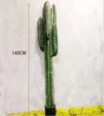 עציץ עמוד קקטוס רב-ידיים 140 ס"מ