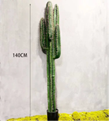 עציץ עמוד קקטוס רב-ידיים 140 ס"מ