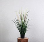 סורגום דק גבוה ורוד-לבן 90 ס"מ-2134