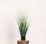 זנב חתול קטן 90 ס"מ-2049