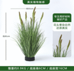 עשב זנב חתול אביבי 90 ס"מ דגם בוץ ללא עציץ