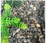 אבני חלוקי נחל צבעוניות 20 ק"ג/שק