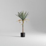 דרצנה הולנדית - 85cm