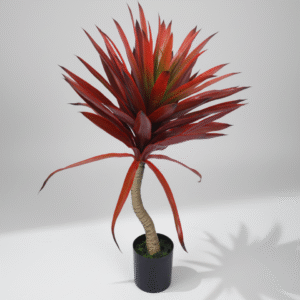 אגבה אדומה (גדולה)