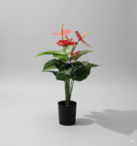 עציץ עלה אנתוריום גדול 45 ס"מ