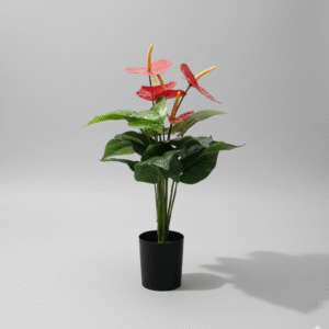 עציץ עלה אנתוריום גדול 45 ס"מ