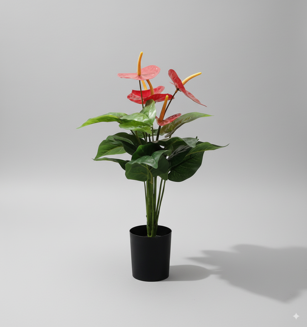 עציץ עלה אנתוריום גדול 45 ס"מ