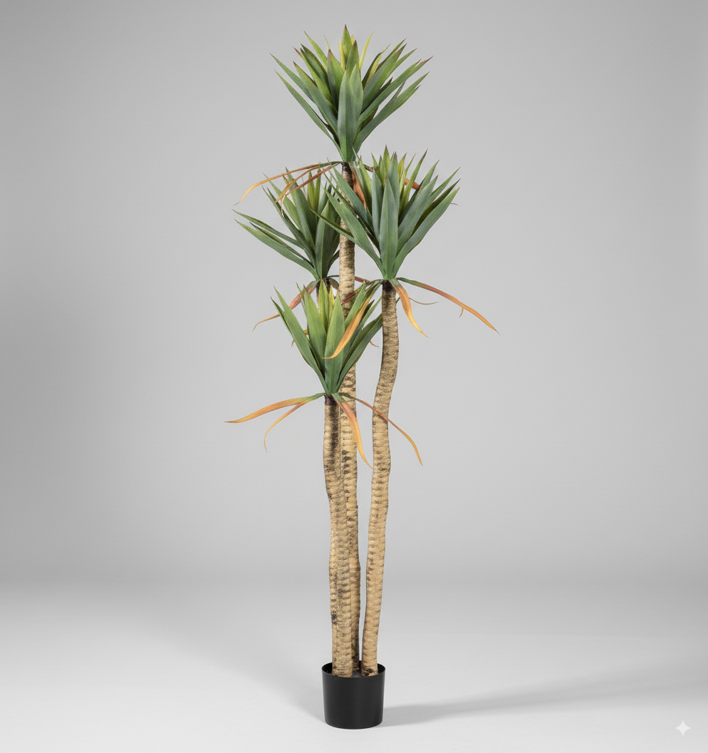 אגבה זנב חתול