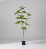 אושר קשת - 130cm