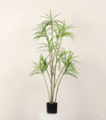 עץ אלף שנה 120 ס"מ