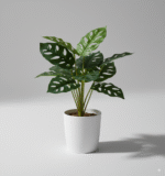 צרור עלים מיני מחוררים