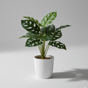 צרור עלים מיני מחוררים