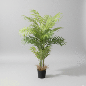 דקל מיני 90 ס"מ