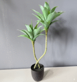 עלה לב עוף 40 ס"מ