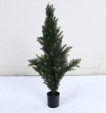 עץ ברוש - 90cm