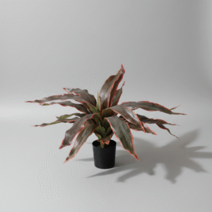 אגבה שפת אדומה