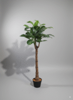 פינוי עץ ירוק ראש יחיד