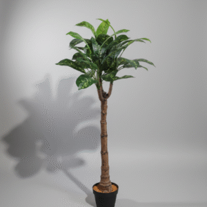 פינוי עץ ירוק ראש יחיד