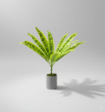 עשב נמר בודד