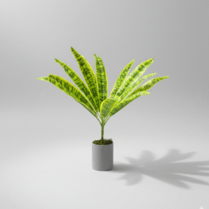 עשב נמר בודד