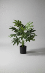 עציץ קטן עלה אדר