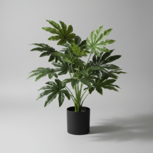 עציץ קטן עלה אדר