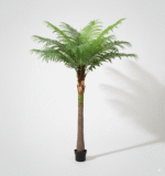 צרור עץ ברזיל 50 ס"מ