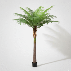 צרור עץ ברזיל 50 ס"מ