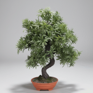 עציץ בונסאי קטן