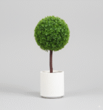 כדור עשיר קטן אביבי 70×30