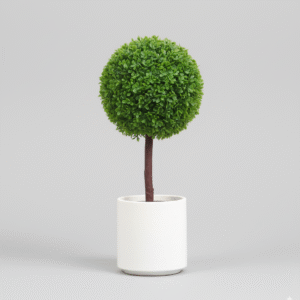 כדור עשיר קטן אביבי 70×30