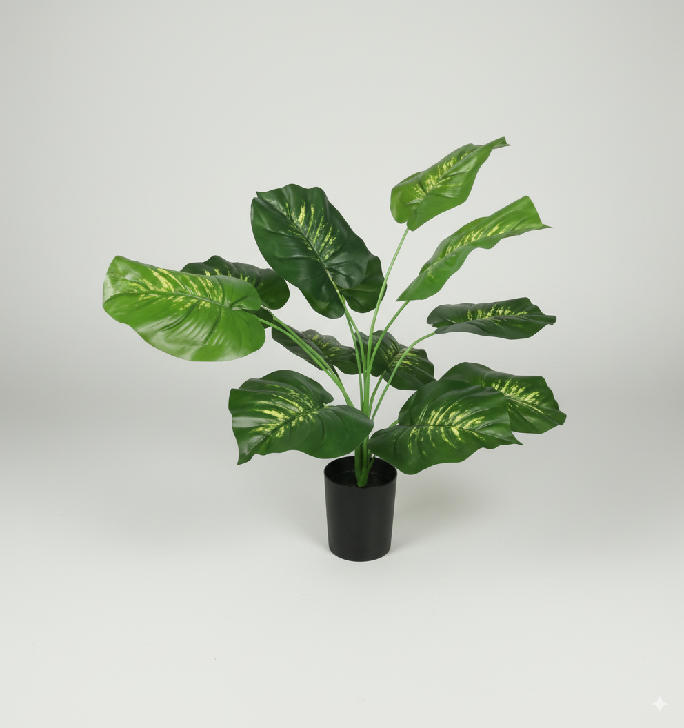 עציץ עשב נמר