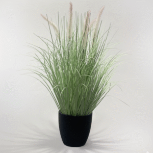 זנב שועל לבן-ירוק