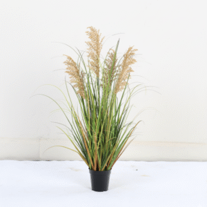 קנה סתווי יבש בצבע סתיו