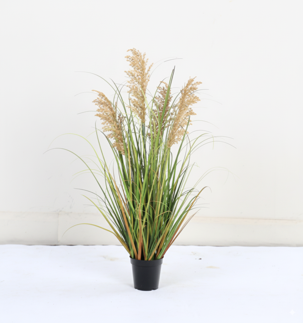 קנה סתווי יבש בצבע סתיו