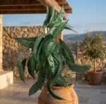 ארואיד אלף שנה מלאכותי תלוי