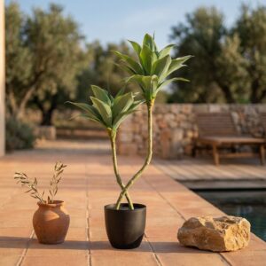 אגבה מלאכותית בעציץ שחור