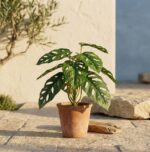 צרור עלים מיני מחוררים מלאכותיים