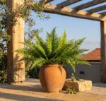 שרך זנב דג מלאכותי