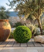 כדור בוקסוס מלאכותי