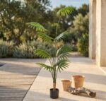 דקל ארקה מלאכותי בעציץ שחור