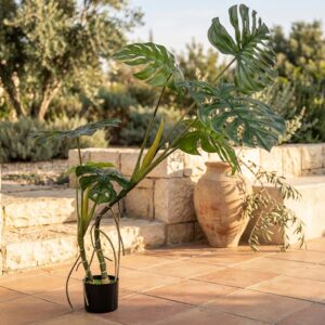 מונסטרה מלאכותית בעציץ שחור