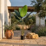 סטרליציה מלאכותית 120 ס"מ