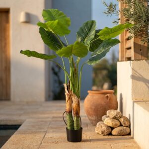 עלה ארואיד פראי מלאכותי