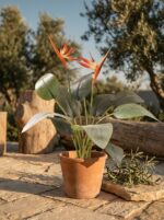 עציץ ציפור גן עדן מלאכותי