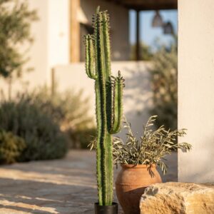 קקטוס מלאכותי דמוי עמוד